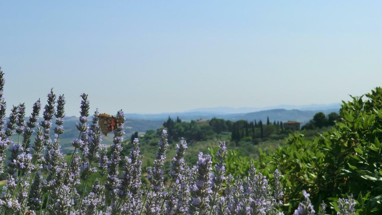 סן ג'ימיניאנו Appartamenti Ava E Tegrino Nell'Antica Dimora Di Fulignano מראה חיצוני תמונה