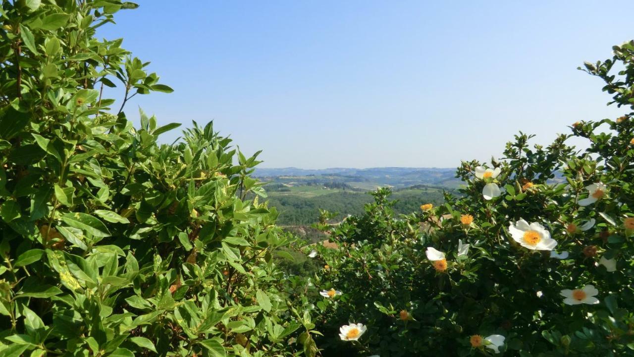 סן ג'ימיניאנו Appartamenti Ava E Tegrino Nell'Antica Dimora Di Fulignano מראה חיצוני תמונה