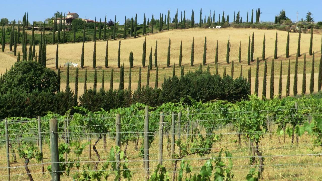 סן ג'ימיניאנו Appartamenti Ava E Tegrino Nell'Antica Dimora Di Fulignano מראה חיצוני תמונה