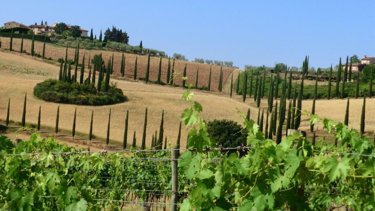 סן ג'ימיניאנו Appartamenti Ava E Tegrino Nell'Antica Dimora Di Fulignano מראה חיצוני תמונה